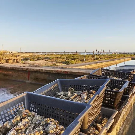 Aux Pas Sages, 4 Mitoyens, Proche