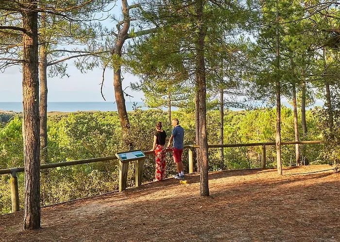 Aux Pas Sages, 4 Mitoyens, Proche 생장드몽