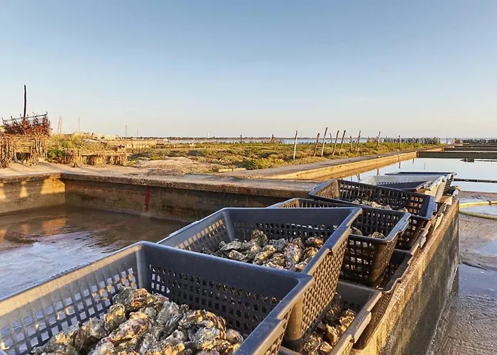 Aux Pas Sages, 4 Mitoyens, Proche